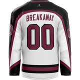 Delaware Ducks Adult Goalie Hybrid Jersey