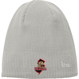 Jersey Shore Wildcats New Era Knit Beanie